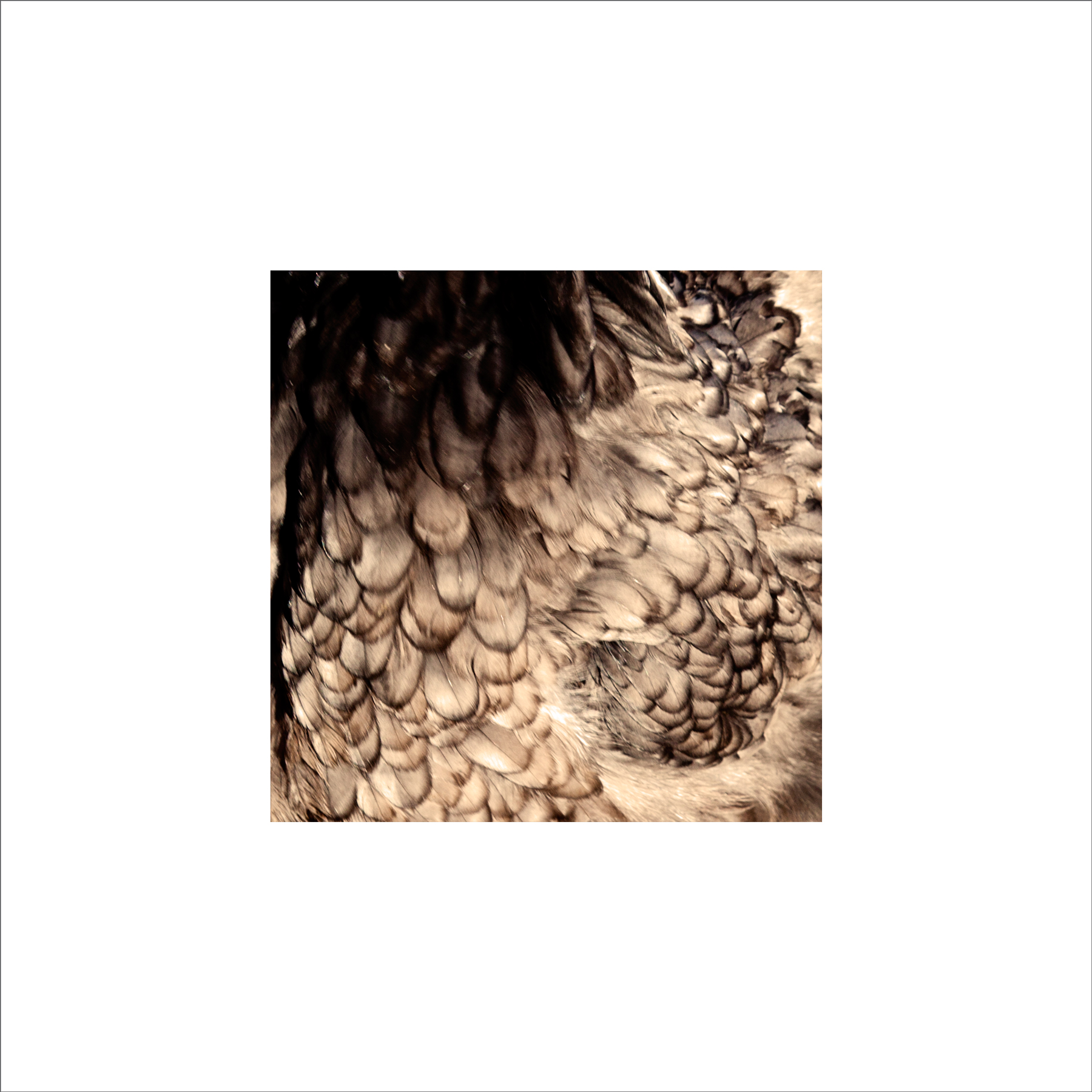 AL03253