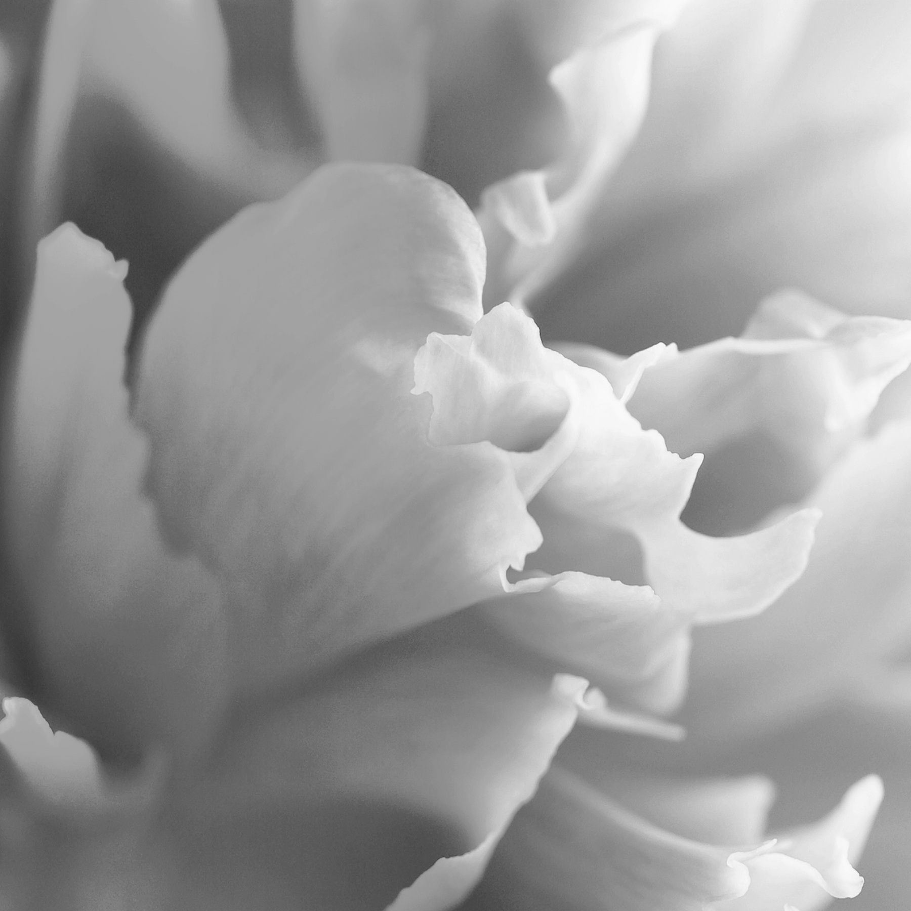 AL03417