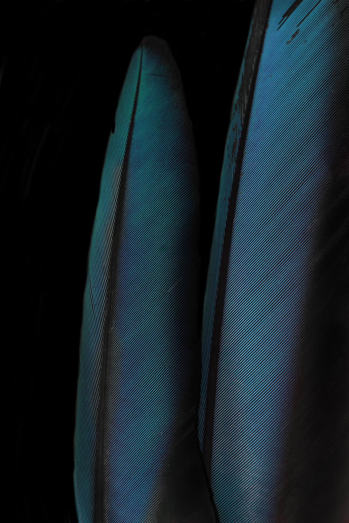 AL03474