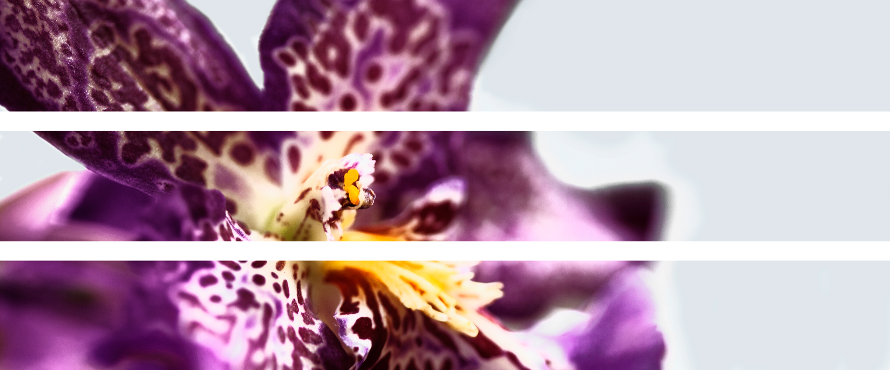 AL03525_3P