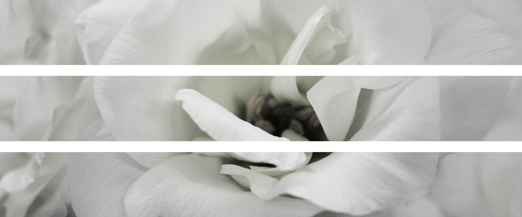 AL03526BW_3P