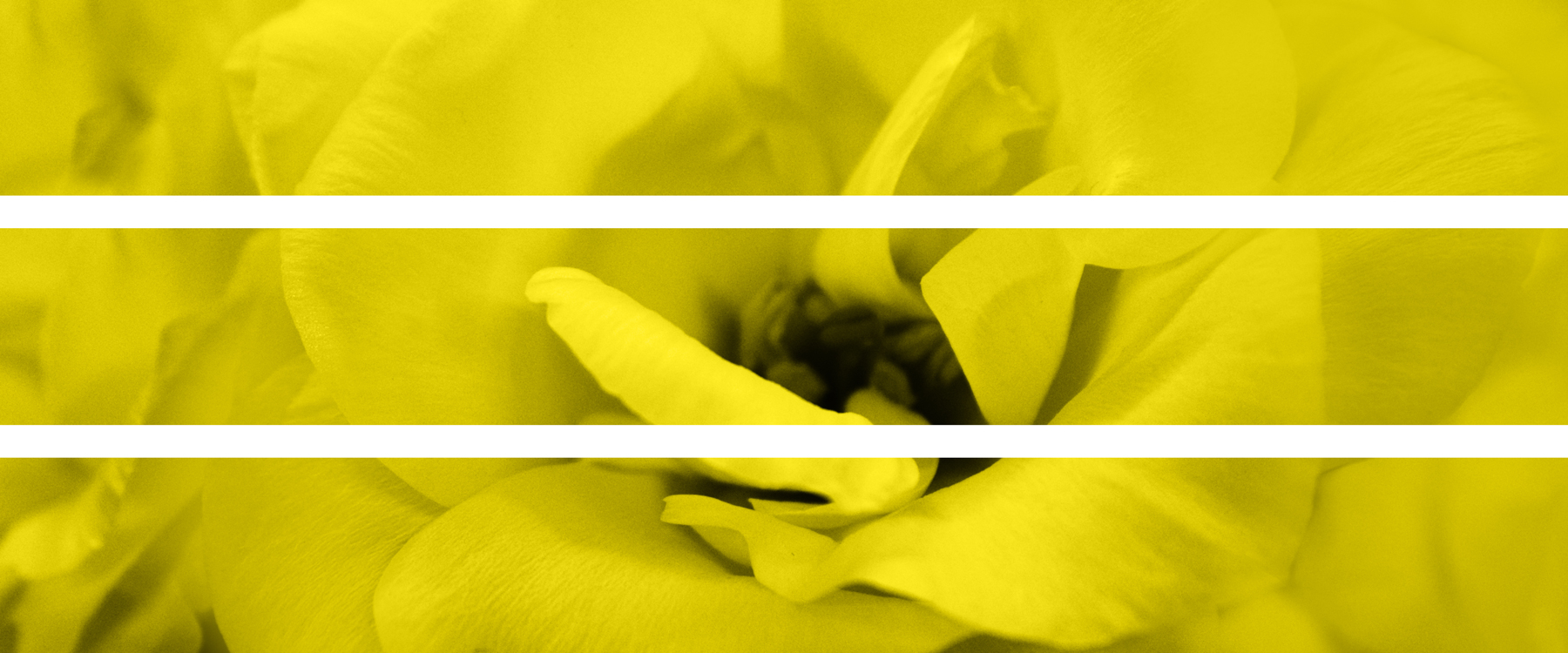 AL03526_3P