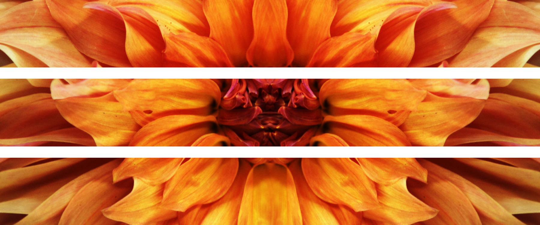 AL03528_3P