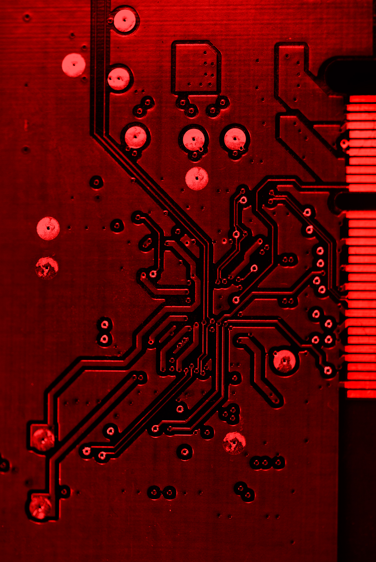 AL03557