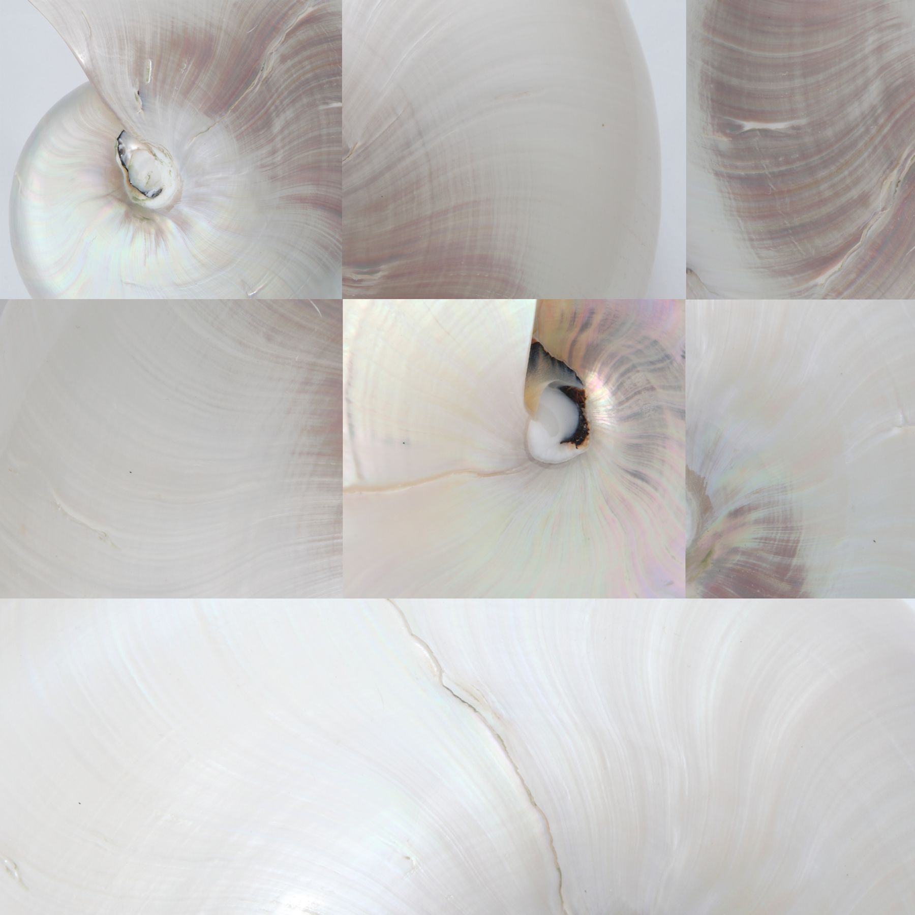AL03614