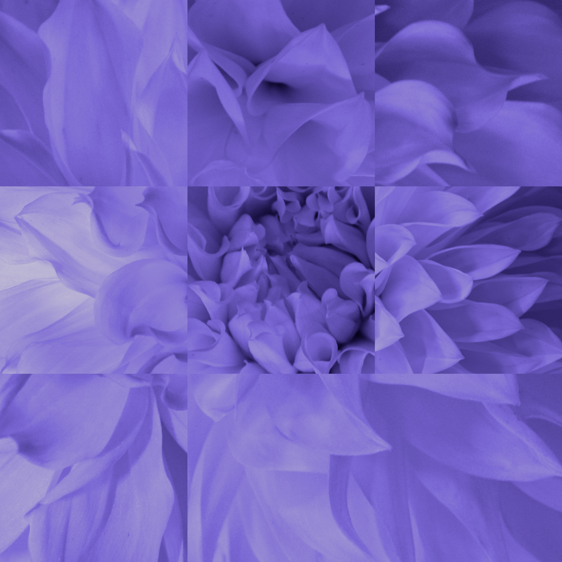 AL03666 / AL03666Y