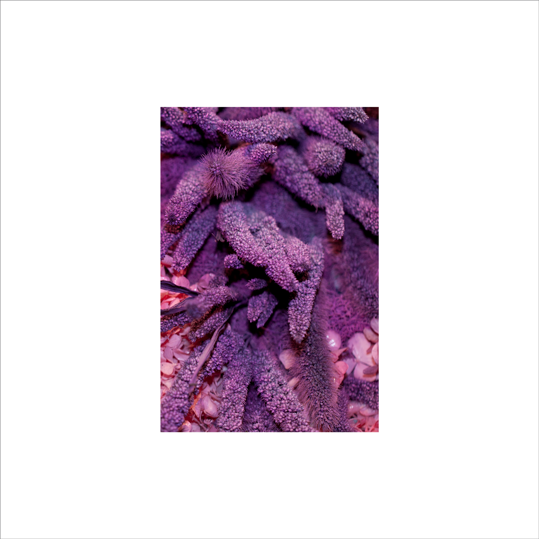 AL03712