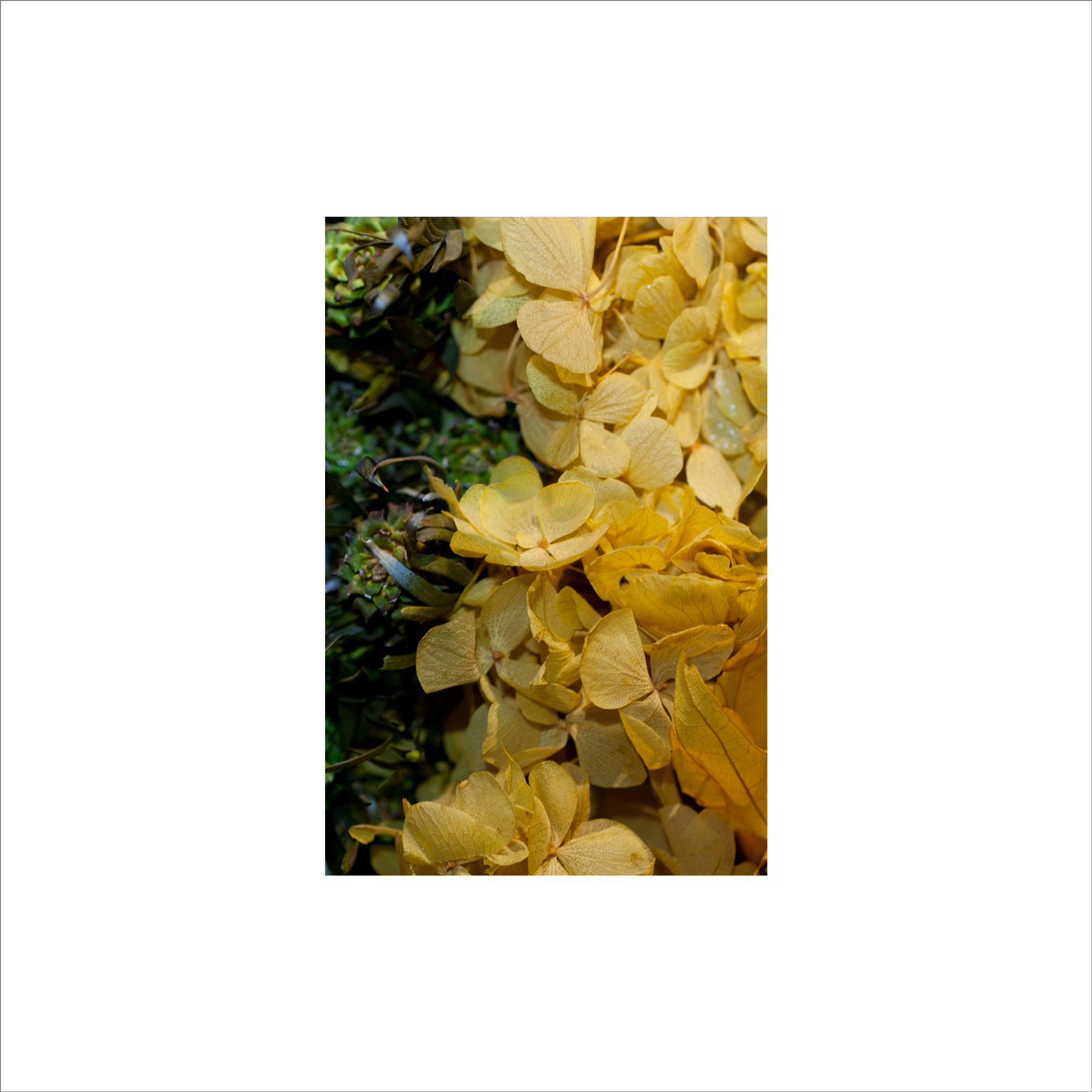 AL03717
