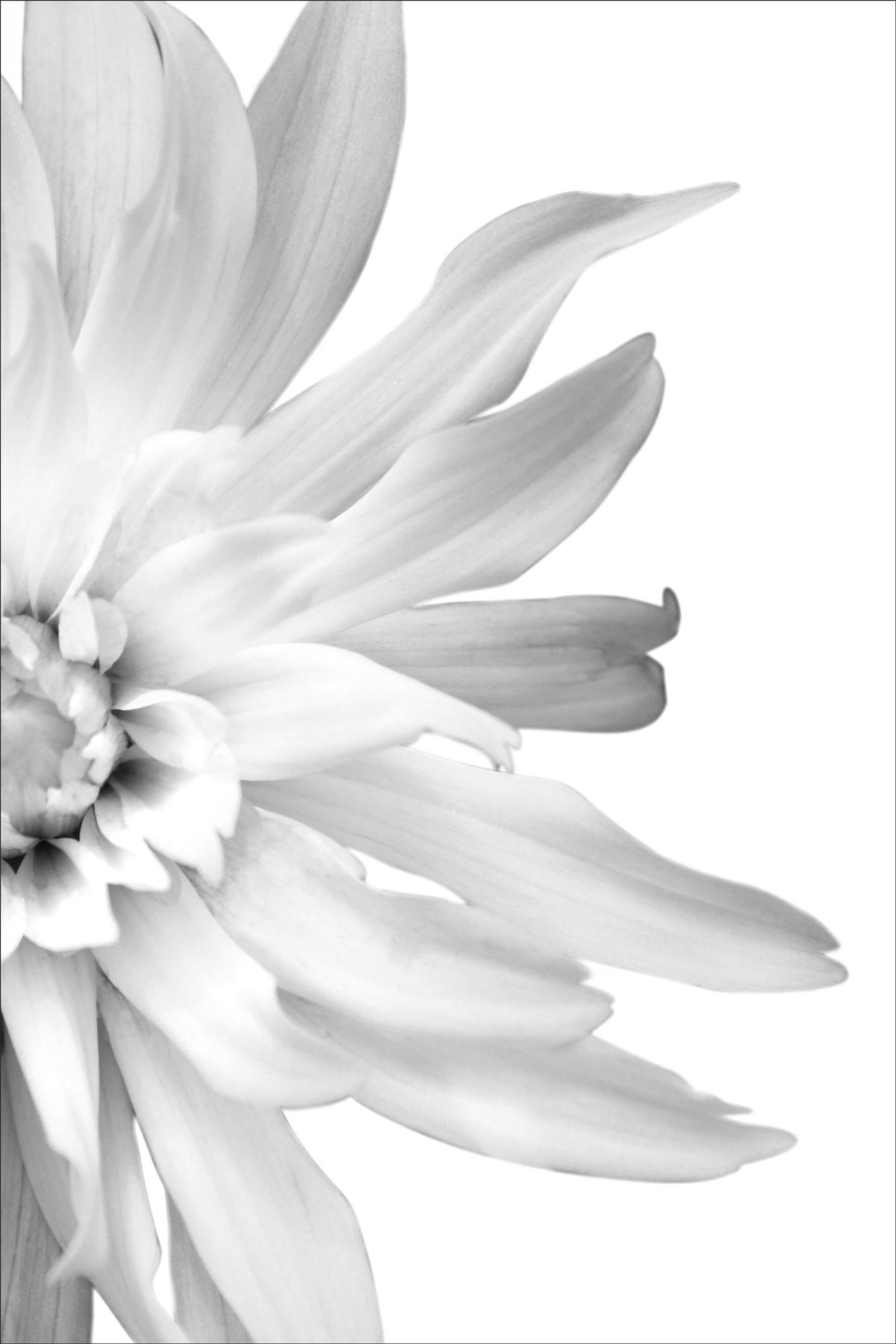 AL01324R