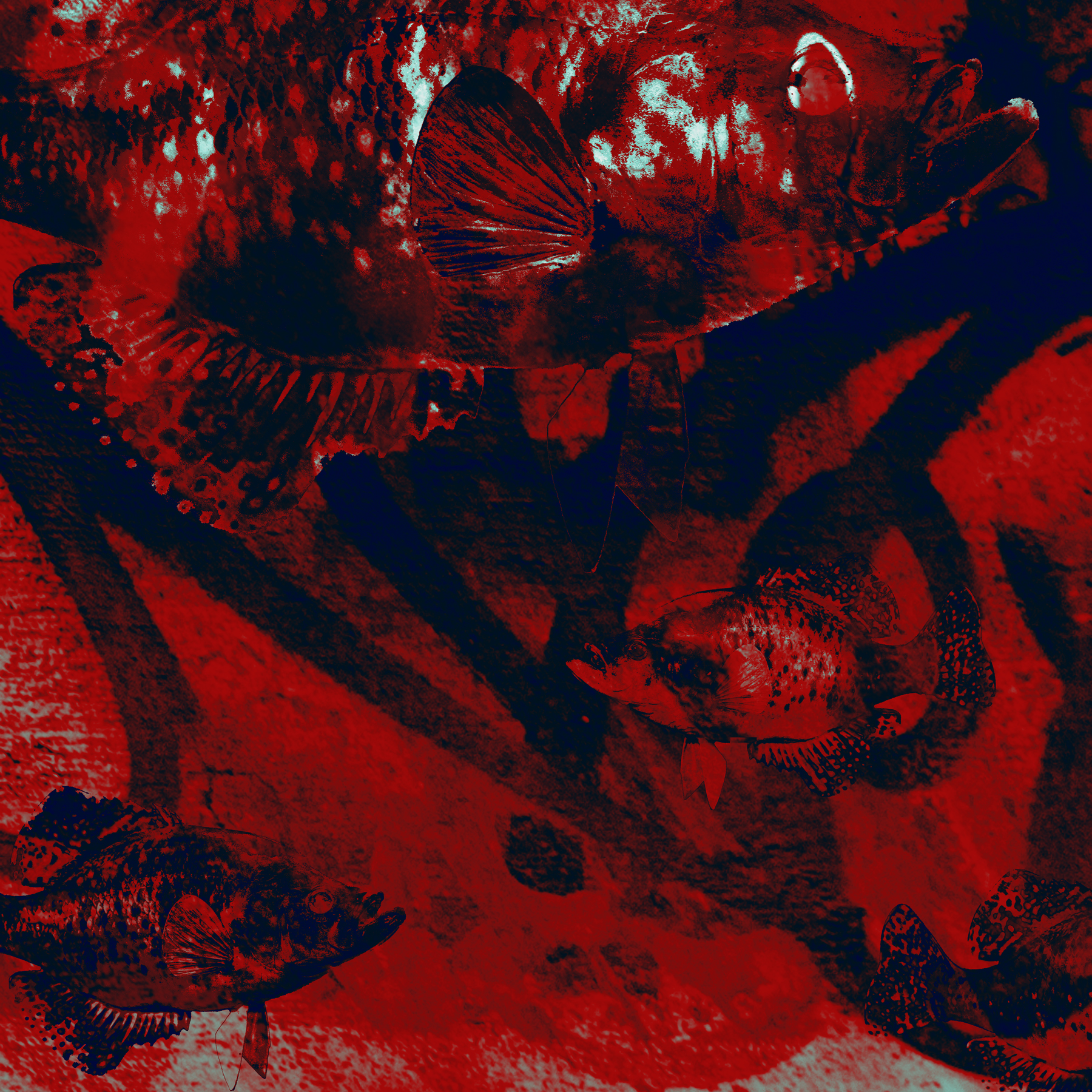 AL03931
