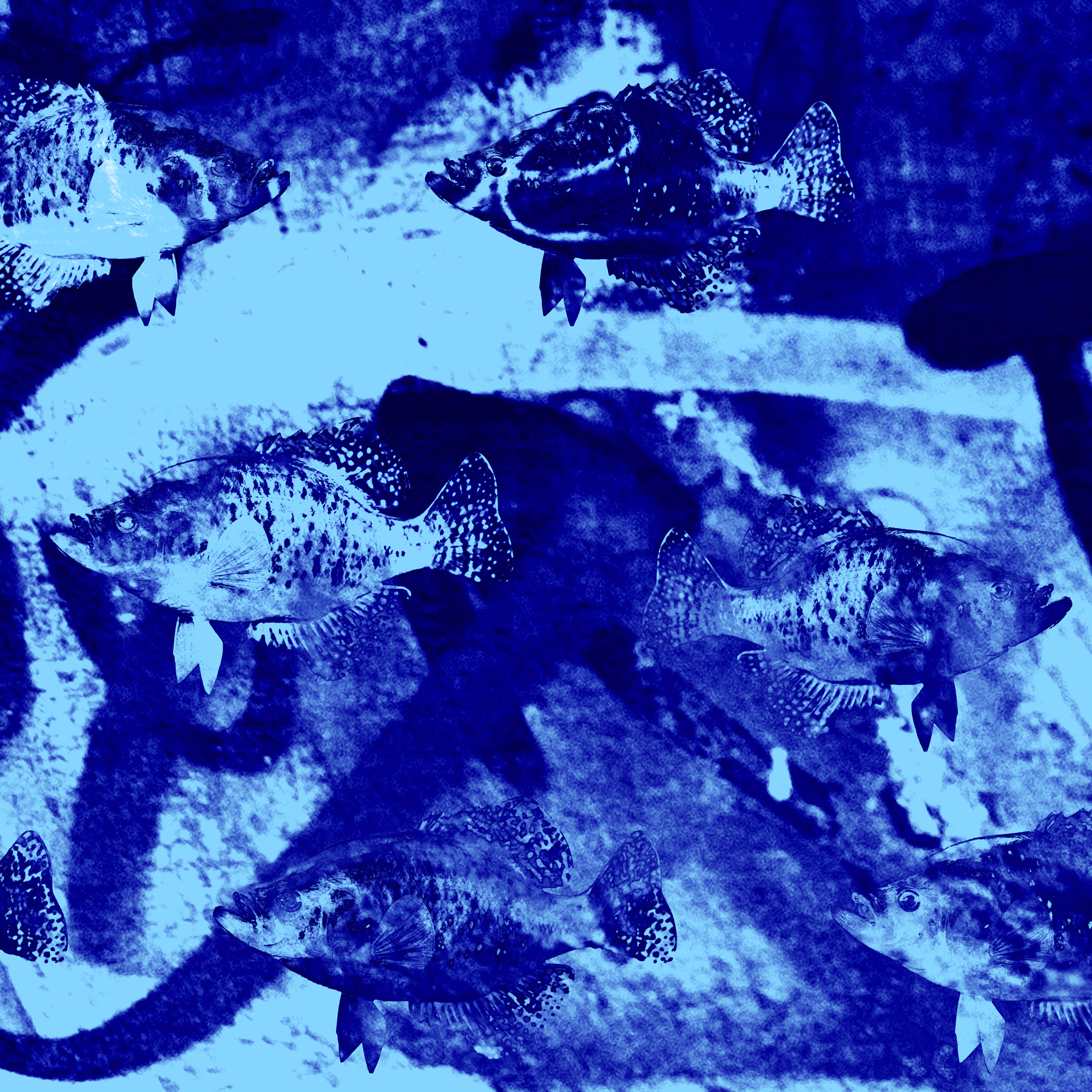 AL03933