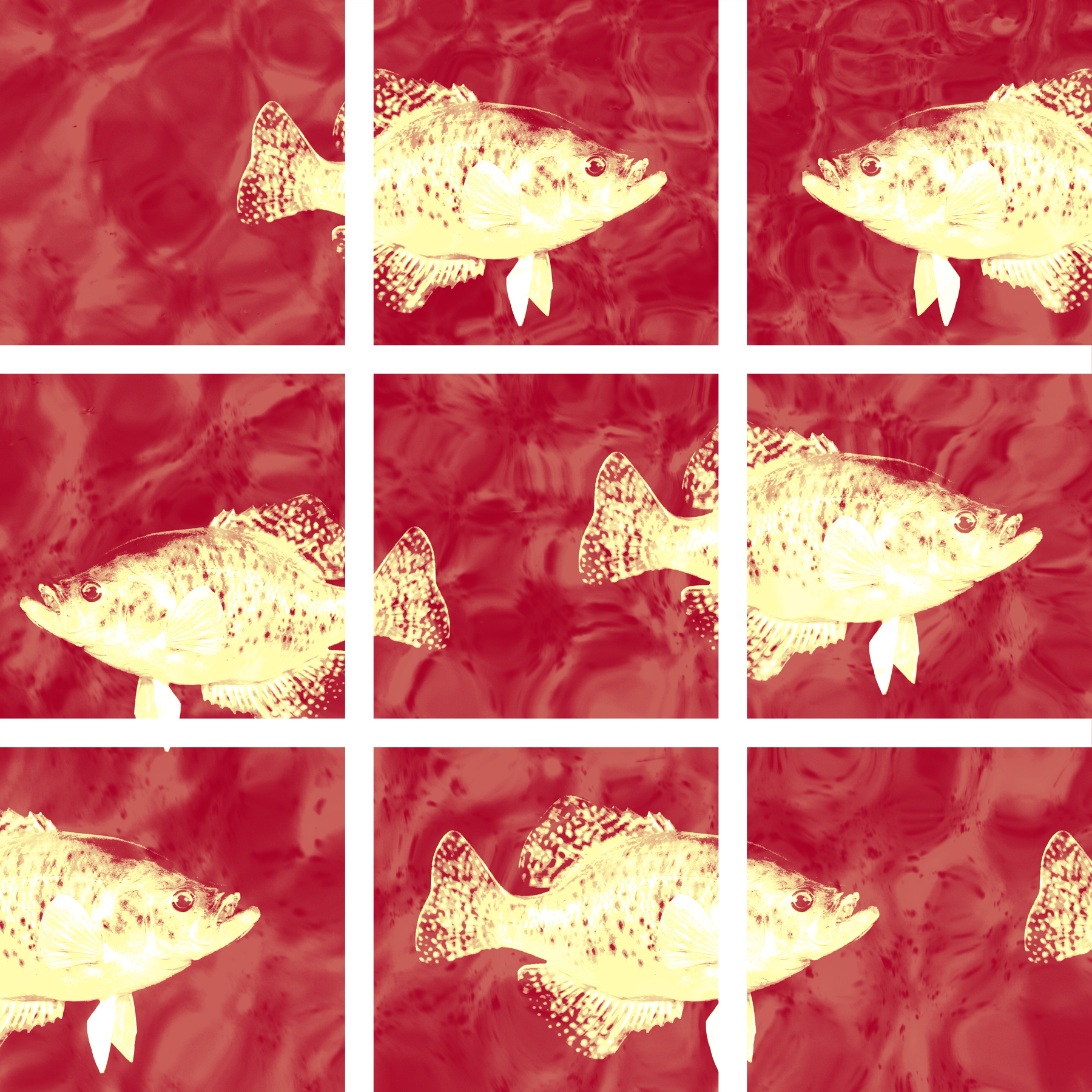 AL03947
