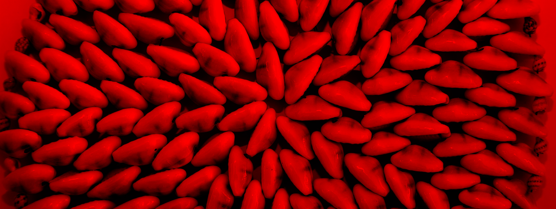 AL03958