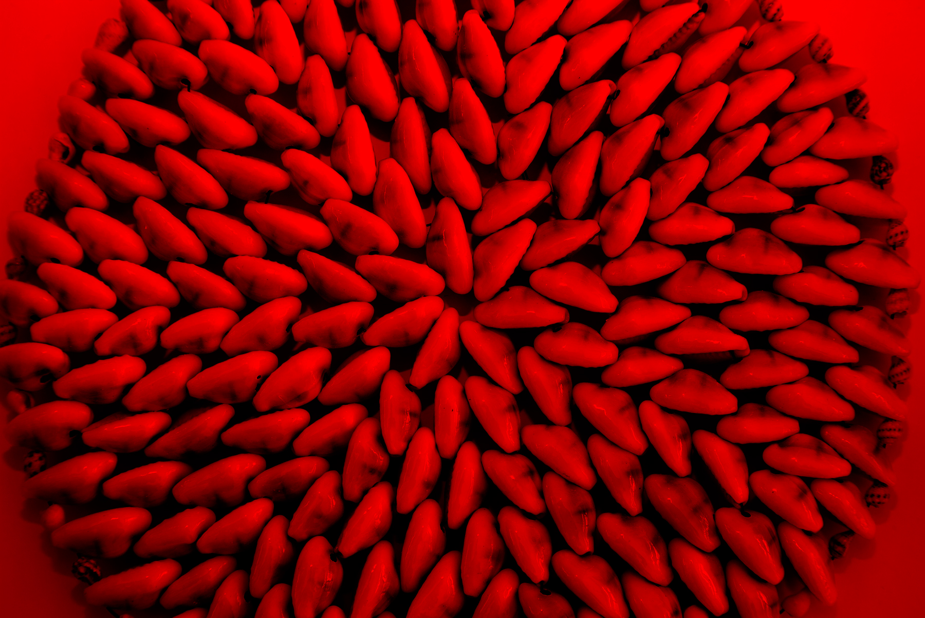 AL03959