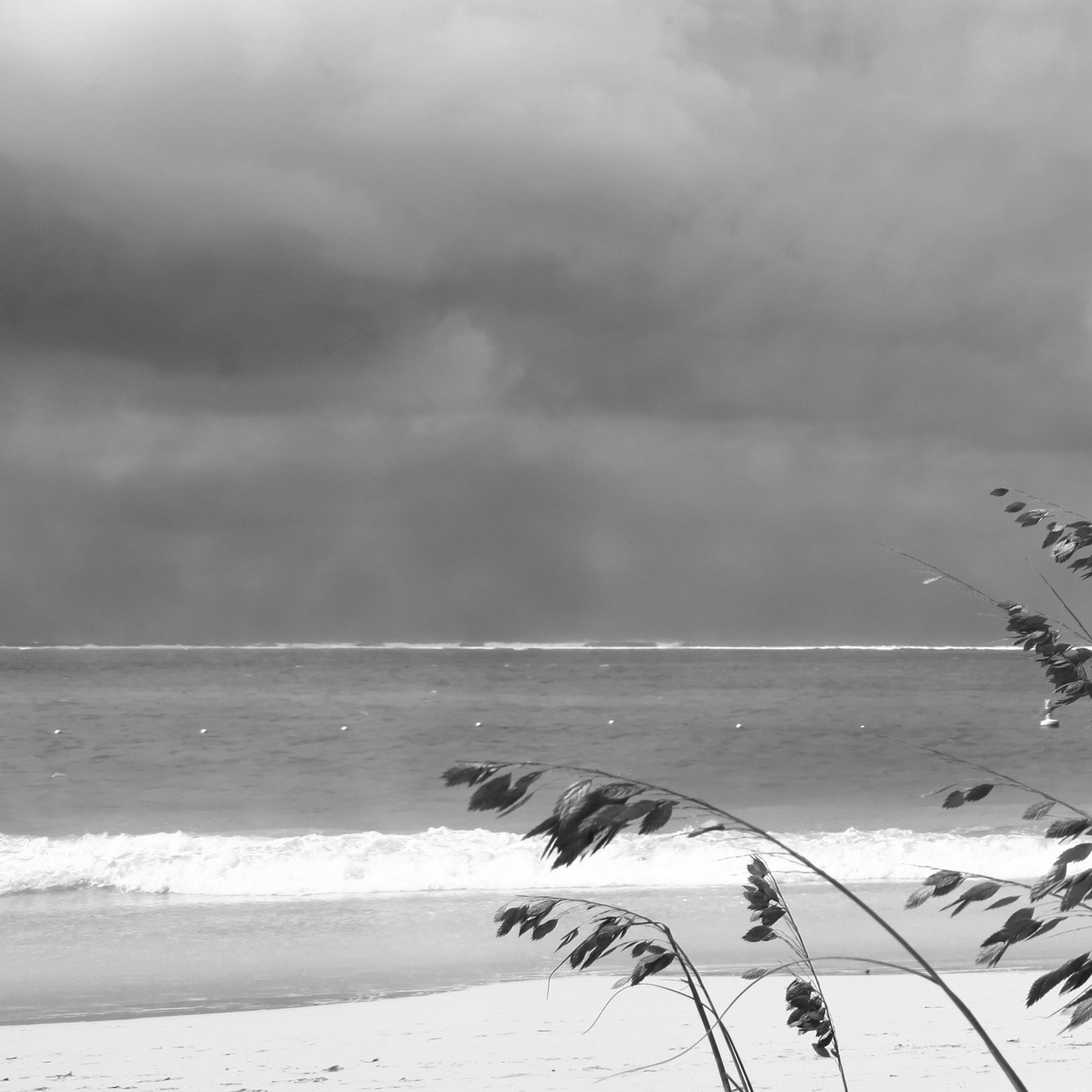 AL04077_A