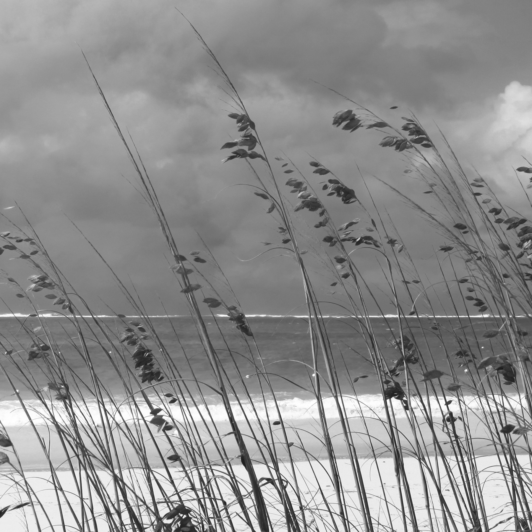 AL04077_B