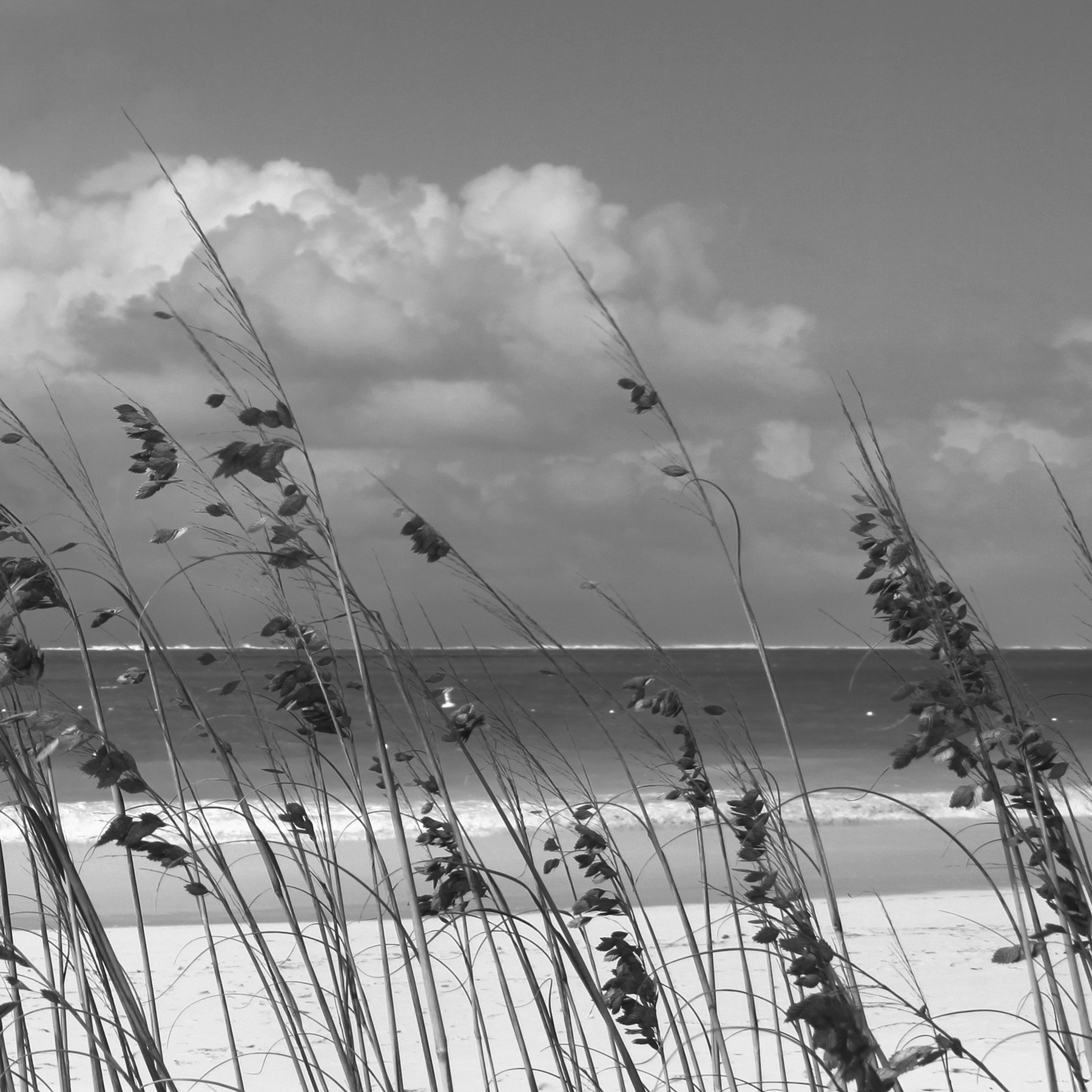 AL04077_C