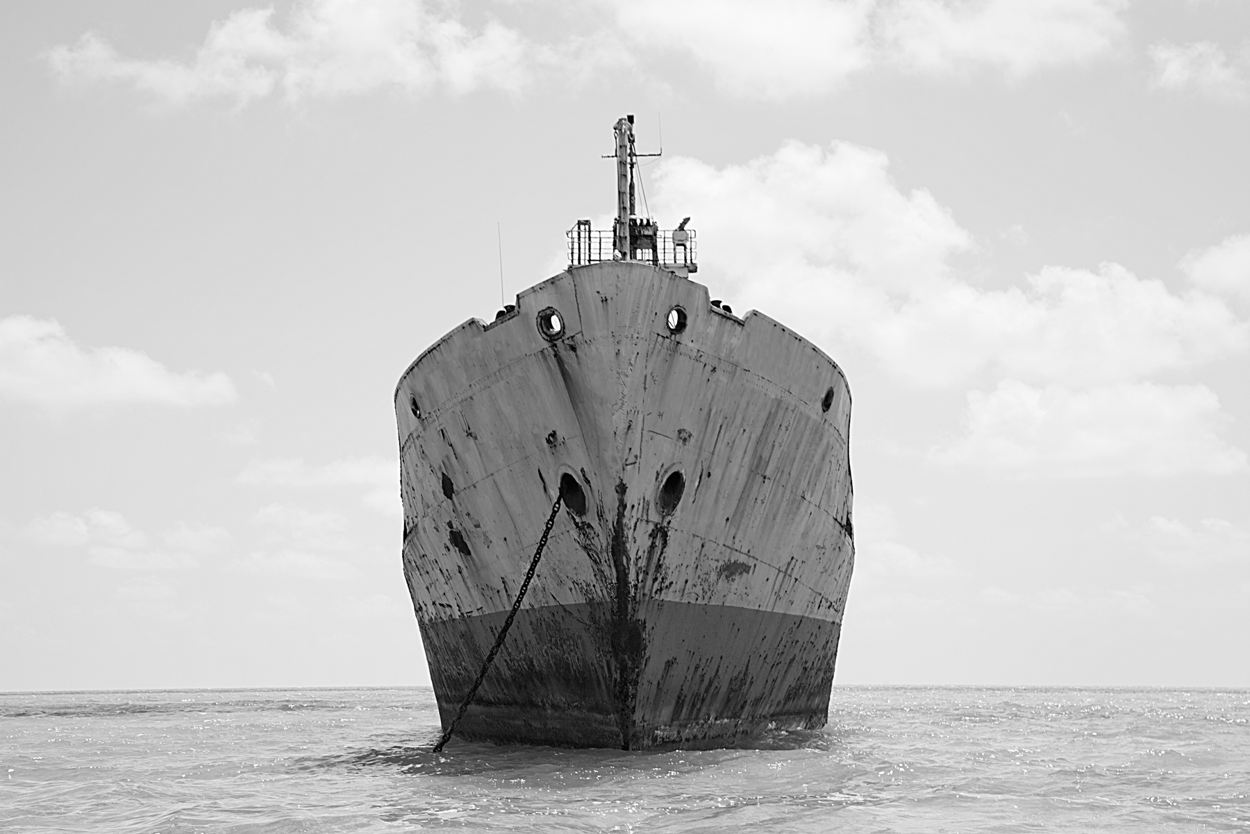 AL04082