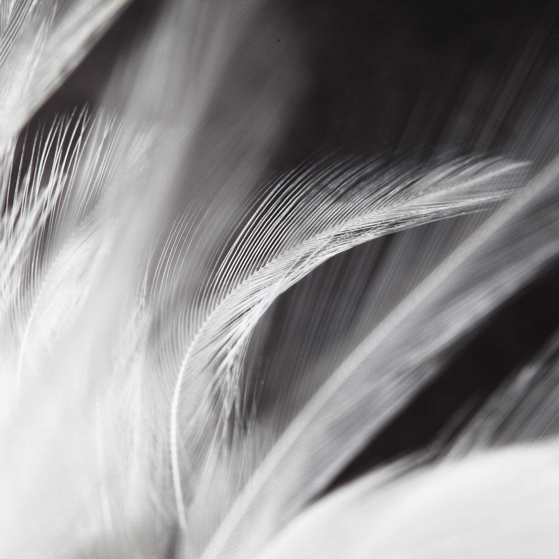 AL03476_SQ