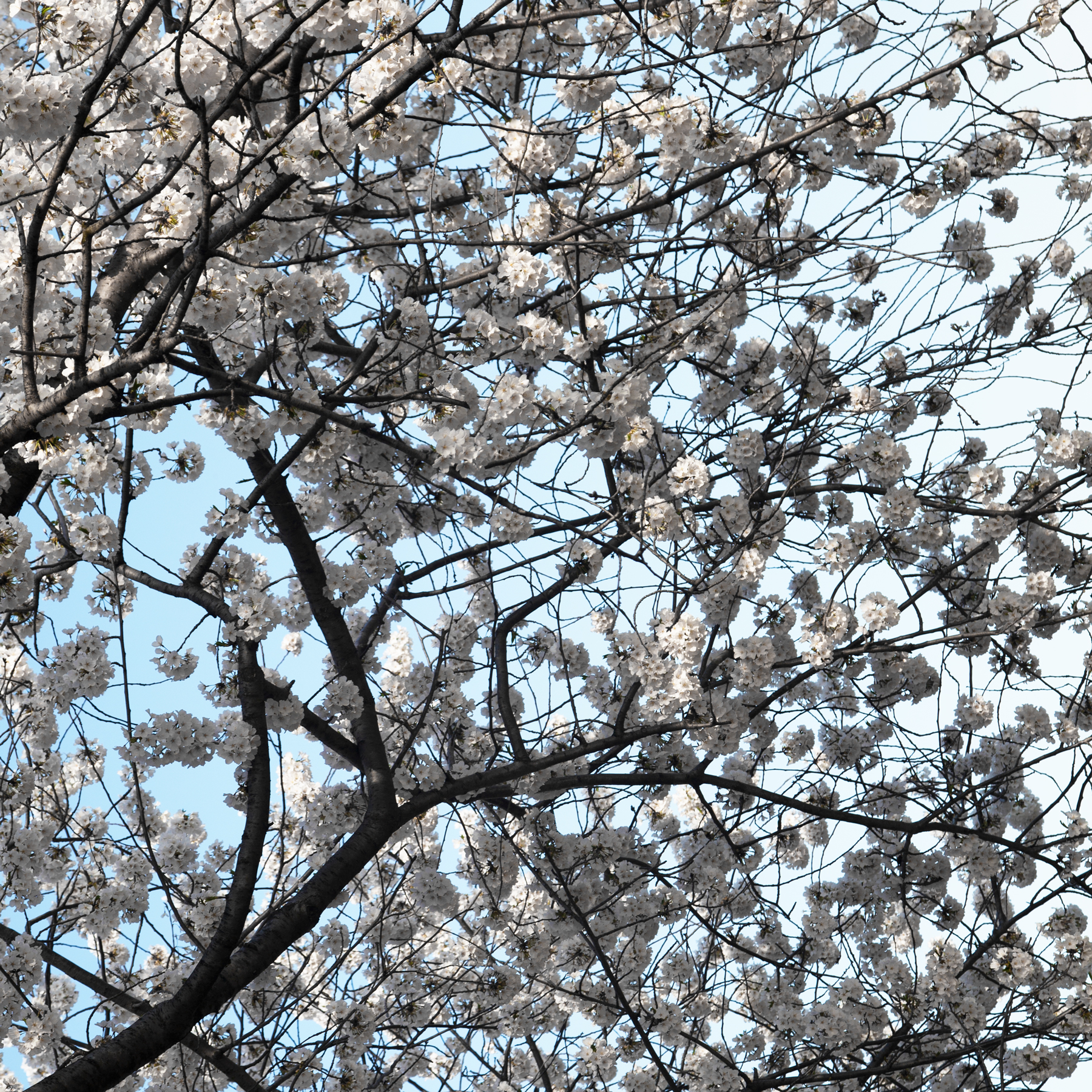 AL04224_SQ