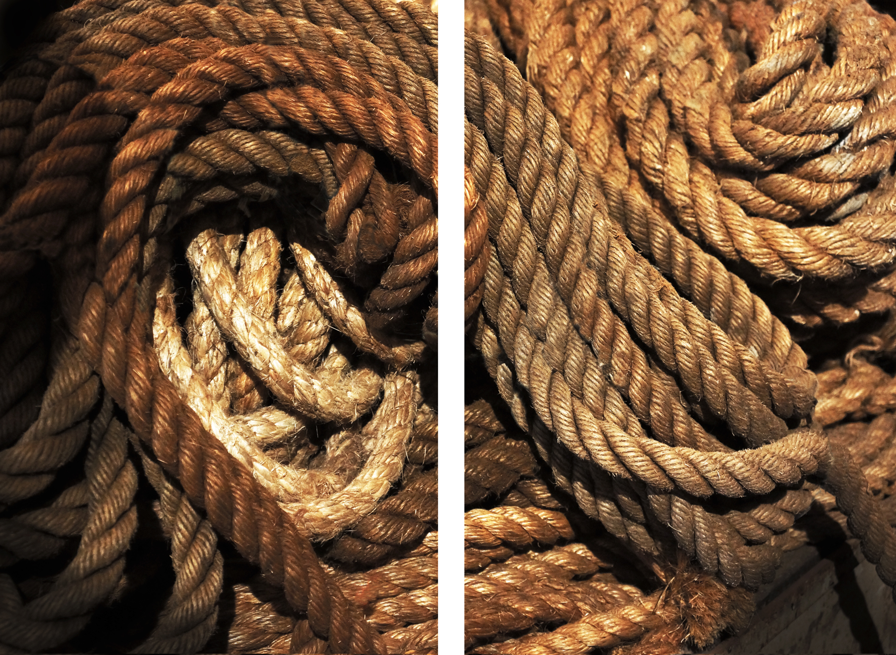 AL04351 set of 2 more colors