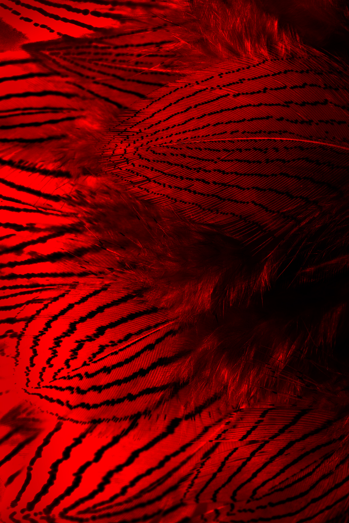 AL04410_L