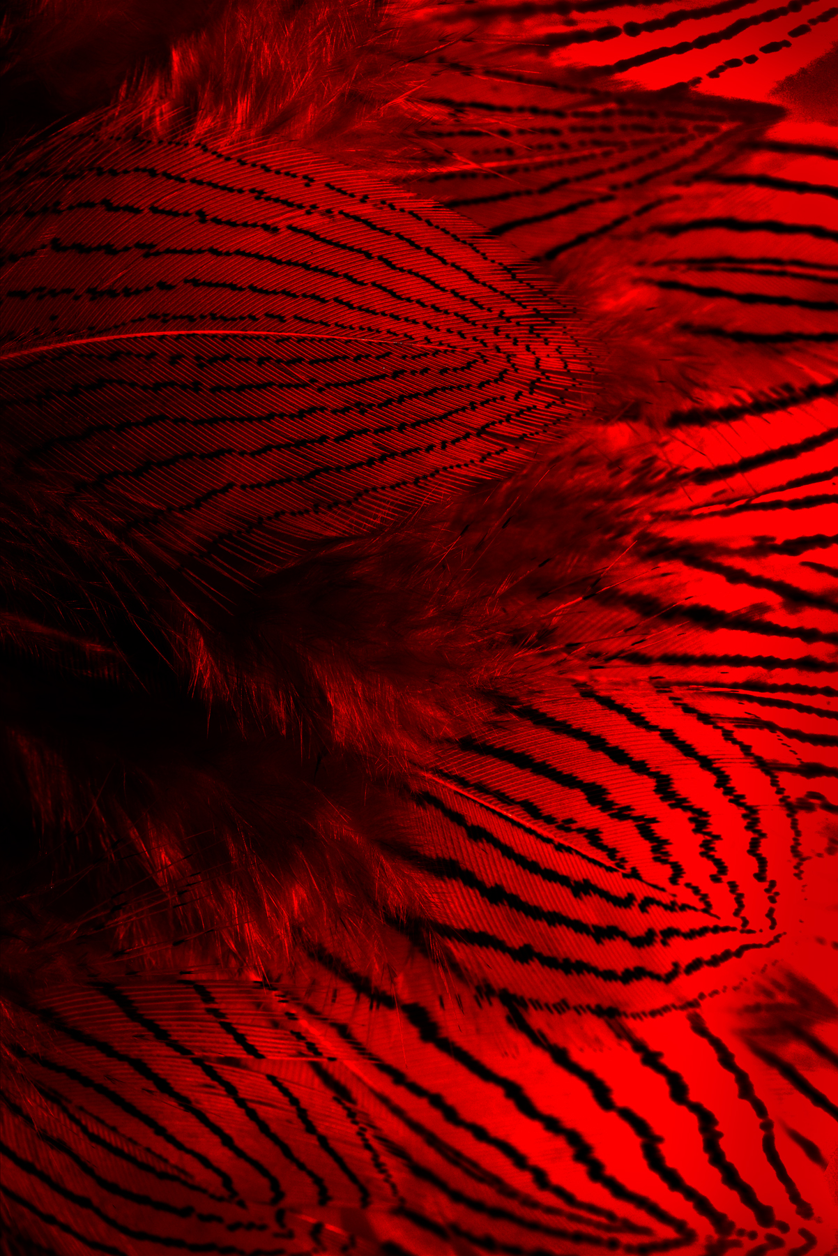 AL04410_R