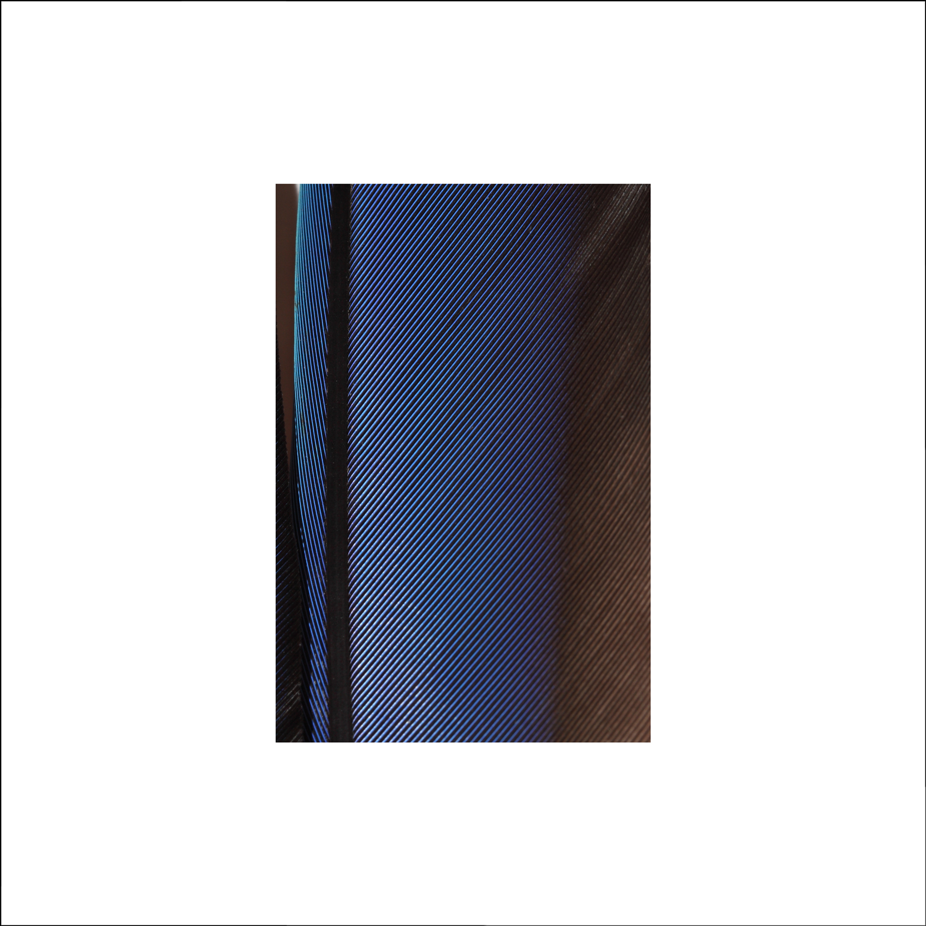 AL04419