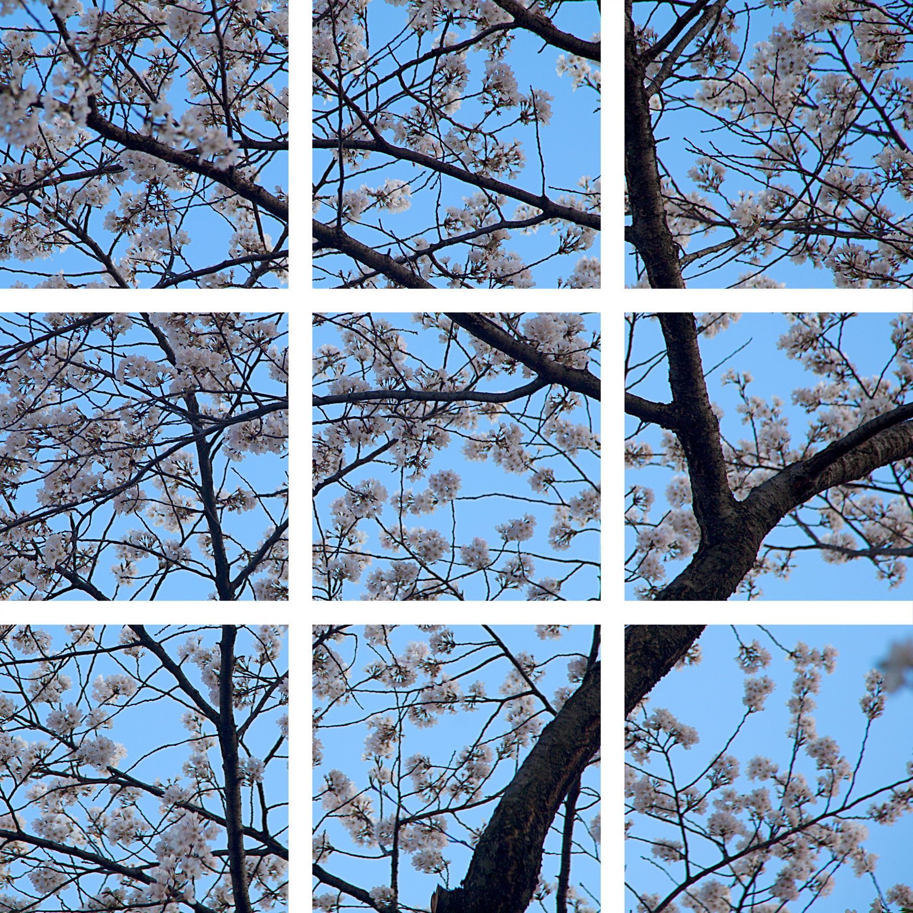 AL04519_9P