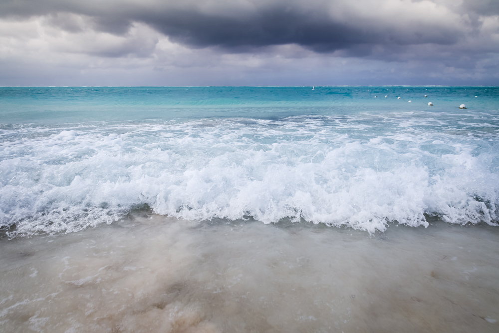 AL04597_1P