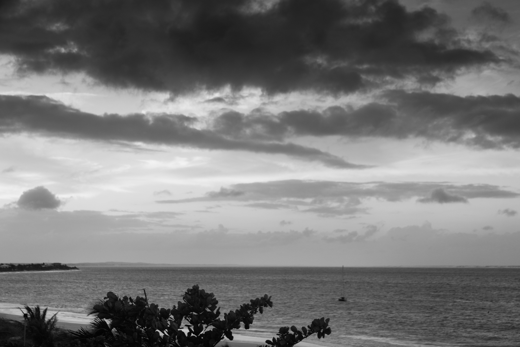 AL04689BW