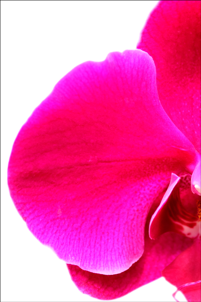 AL00974C_2PL