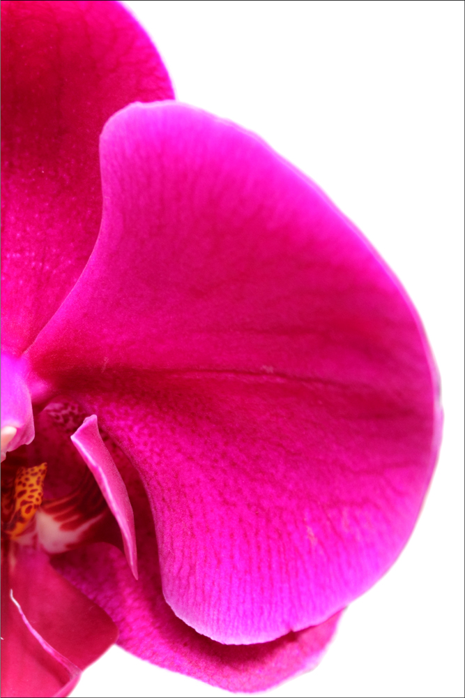 AL00974C_2PR