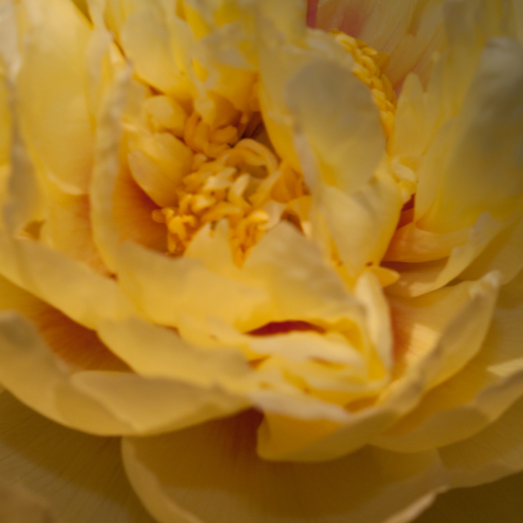 AL09602