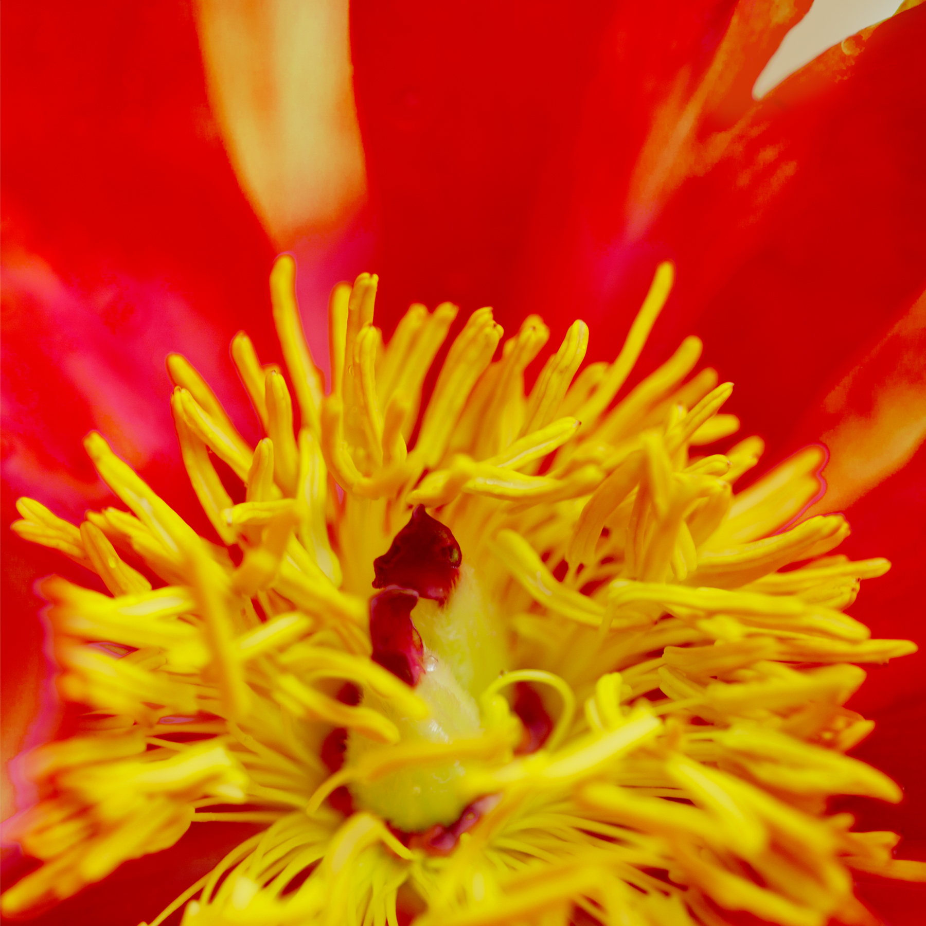 AL09595