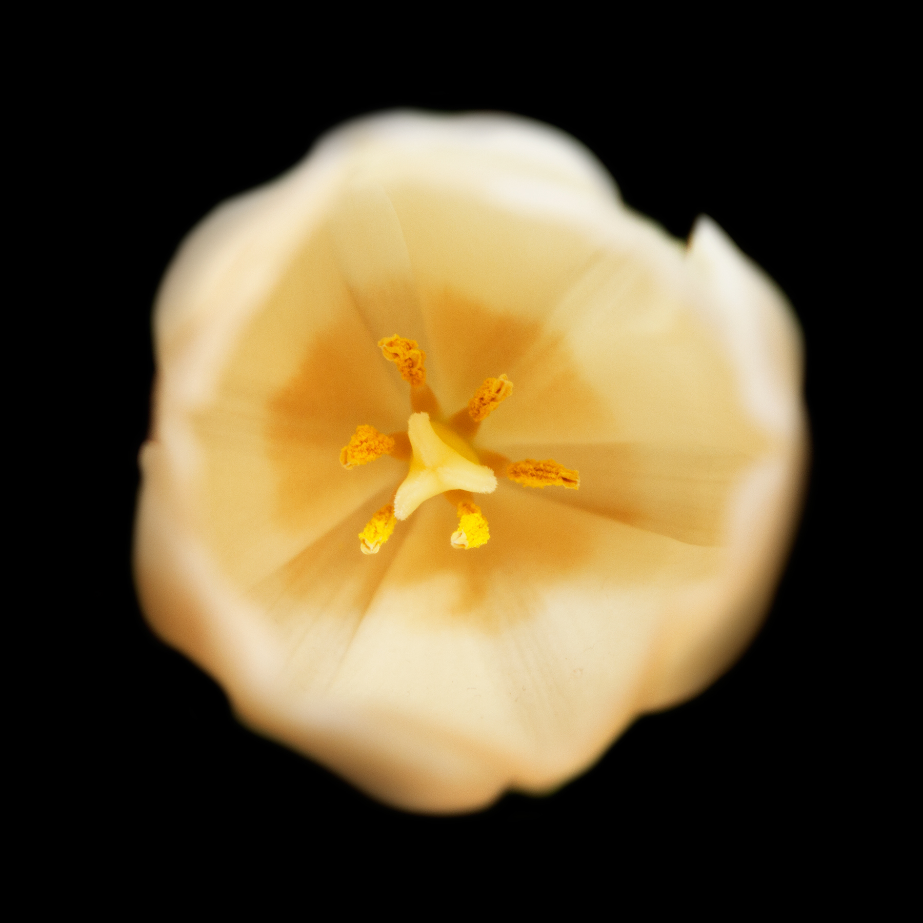 AL04795