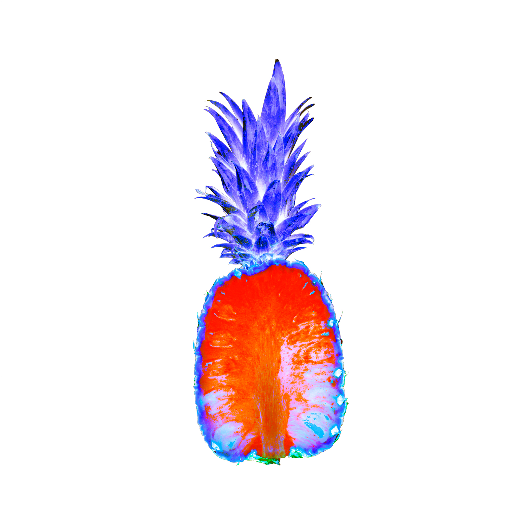 AL04931 more colors
