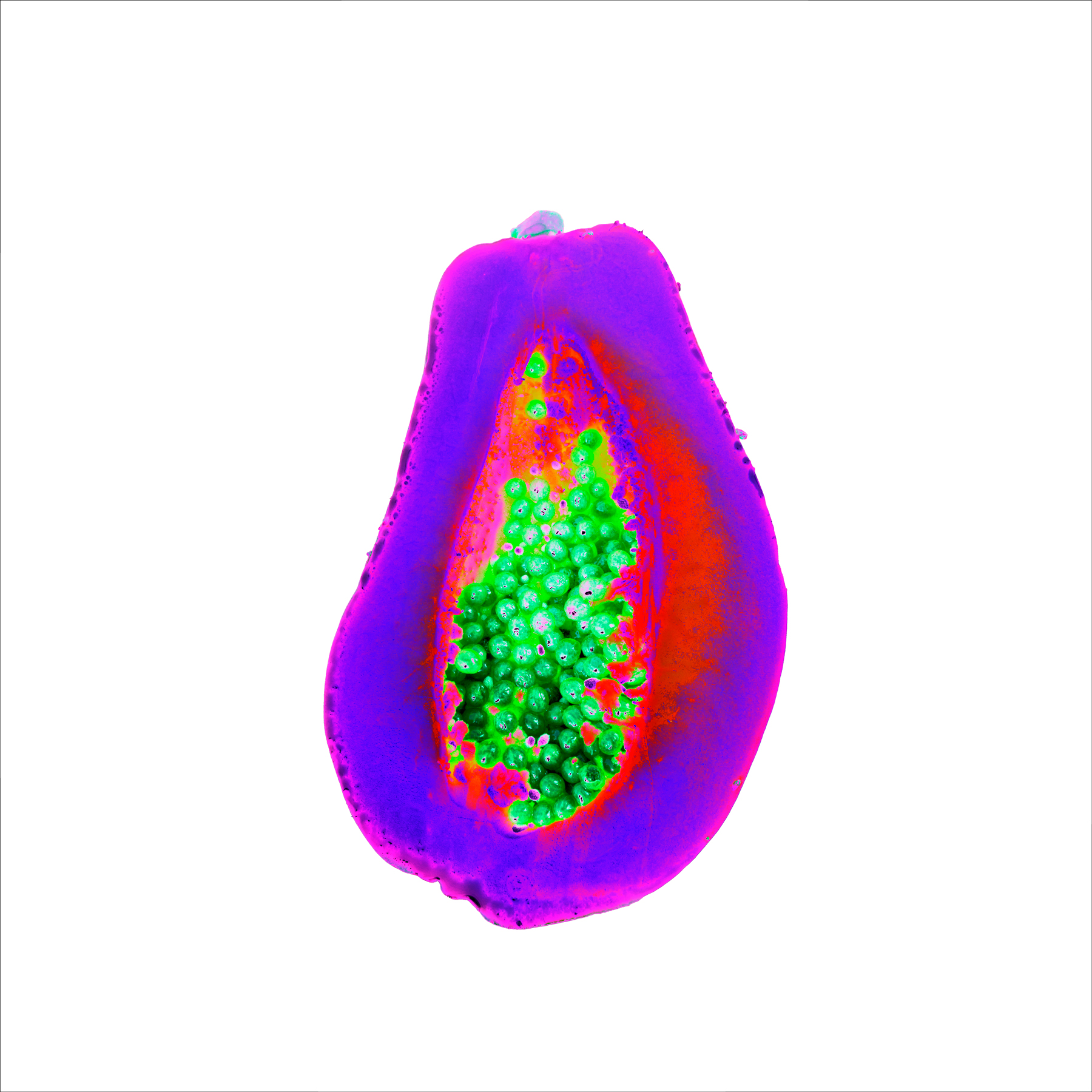 AL04933 more colors