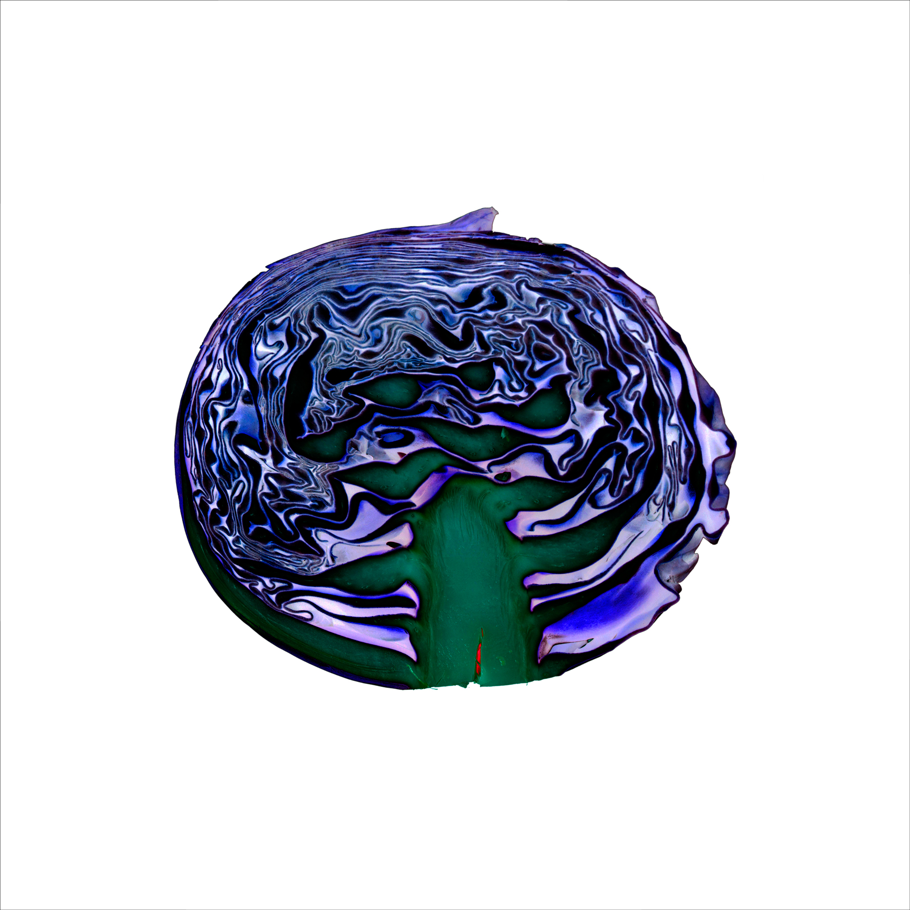 AL04965 more colors