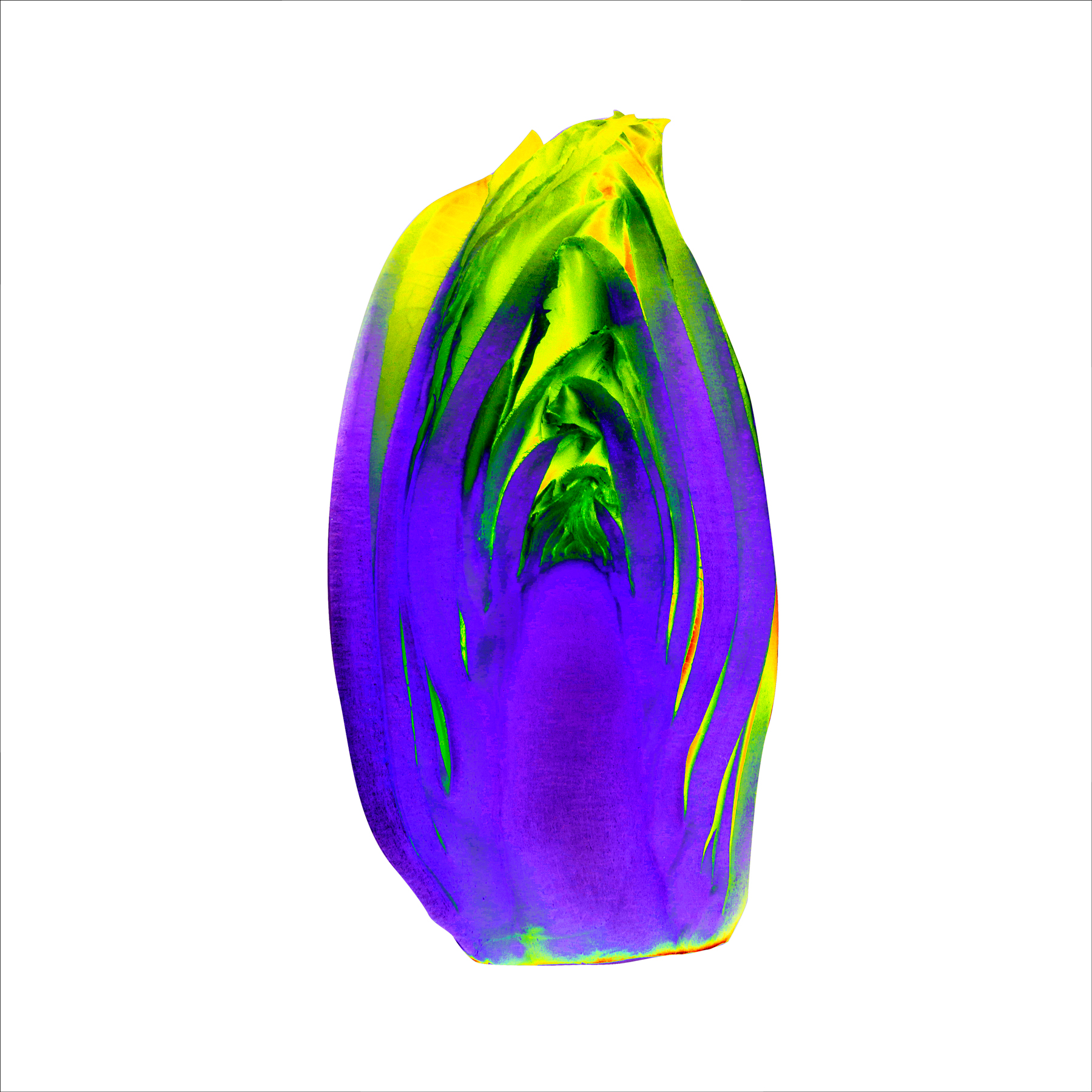 AL04966 more colors