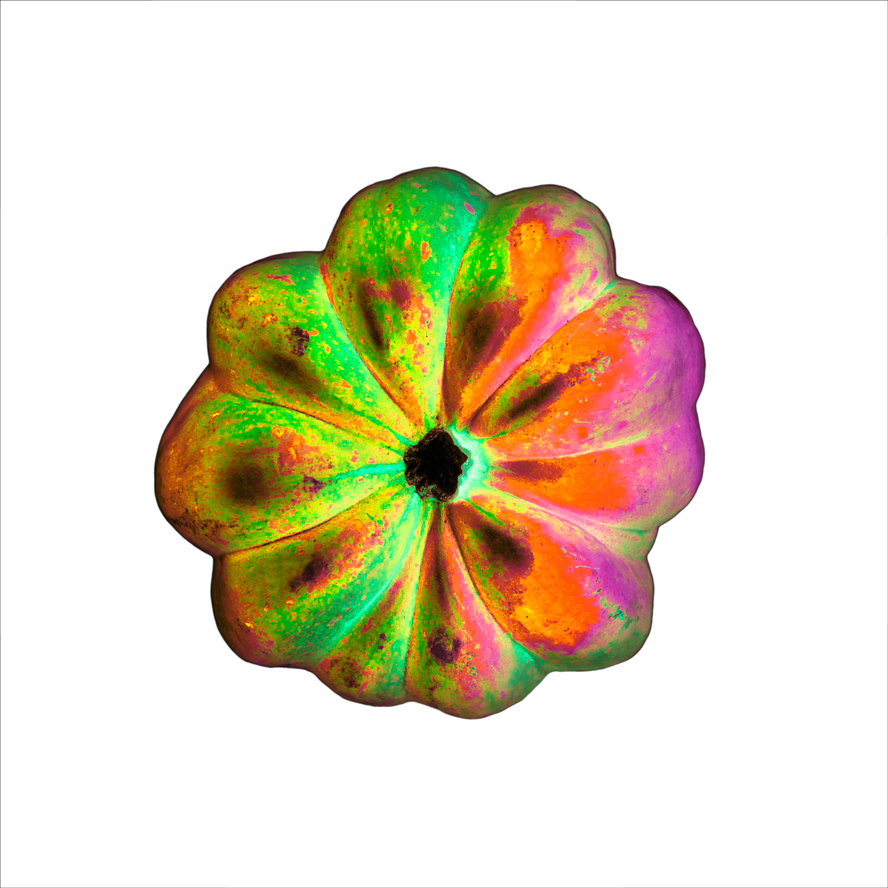 AL04972 more colors