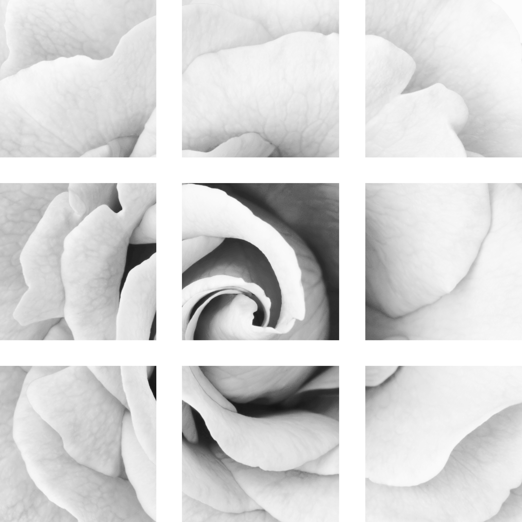 AL03418_9P
