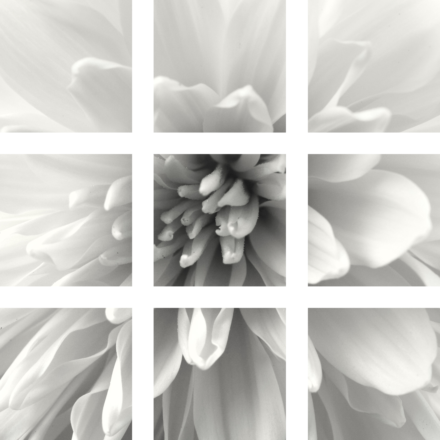 AL03440_9P