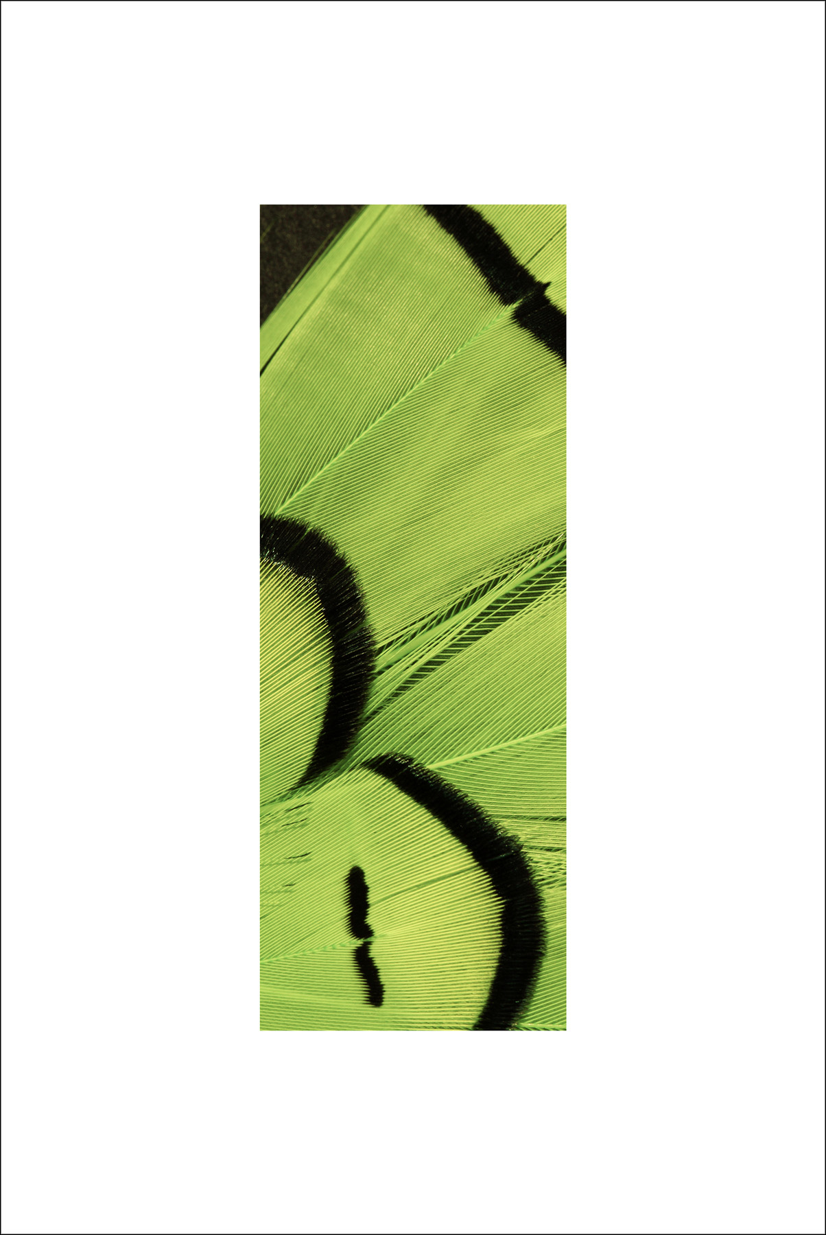 AL04322
