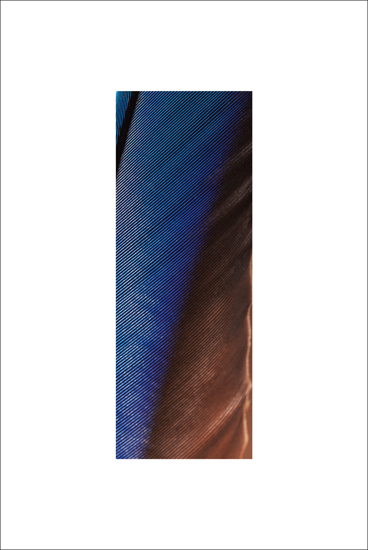 AL04326