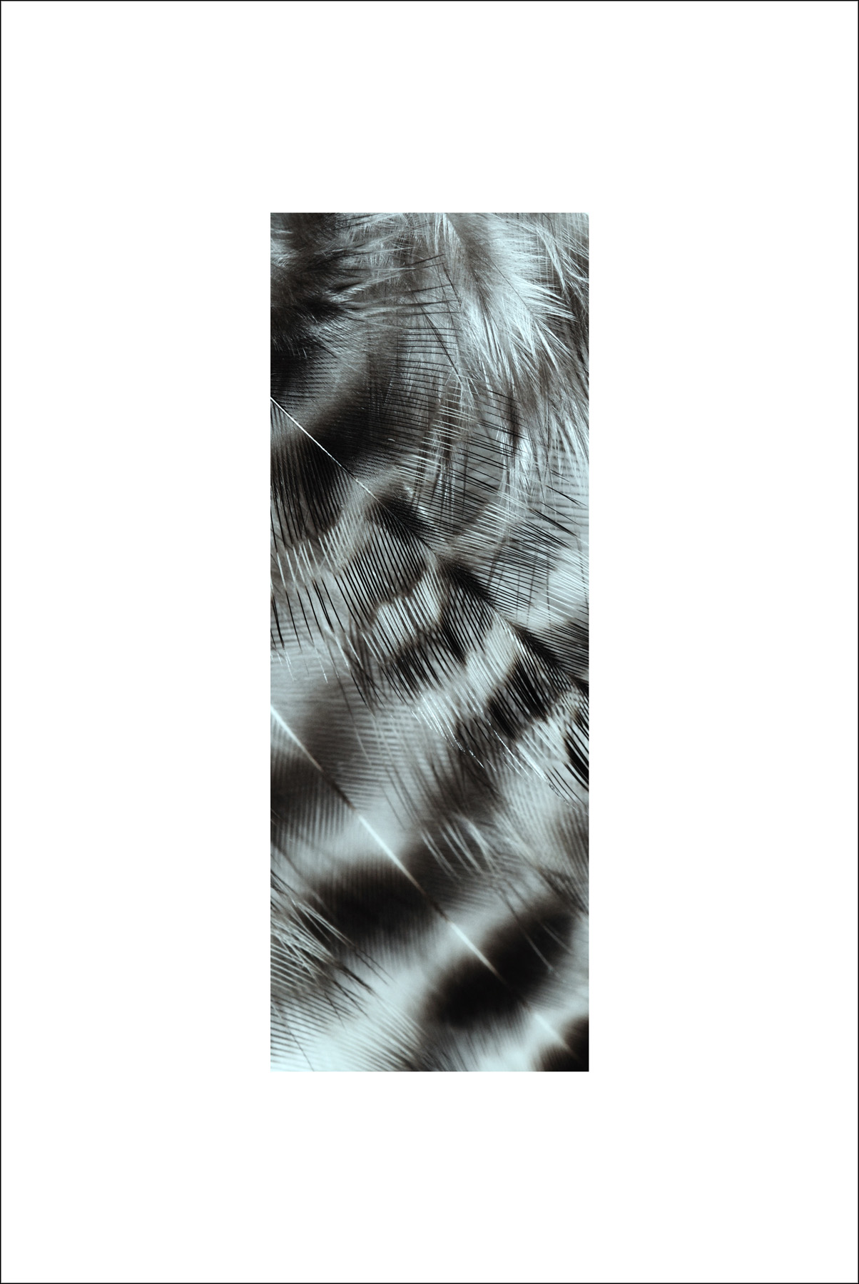AL04327