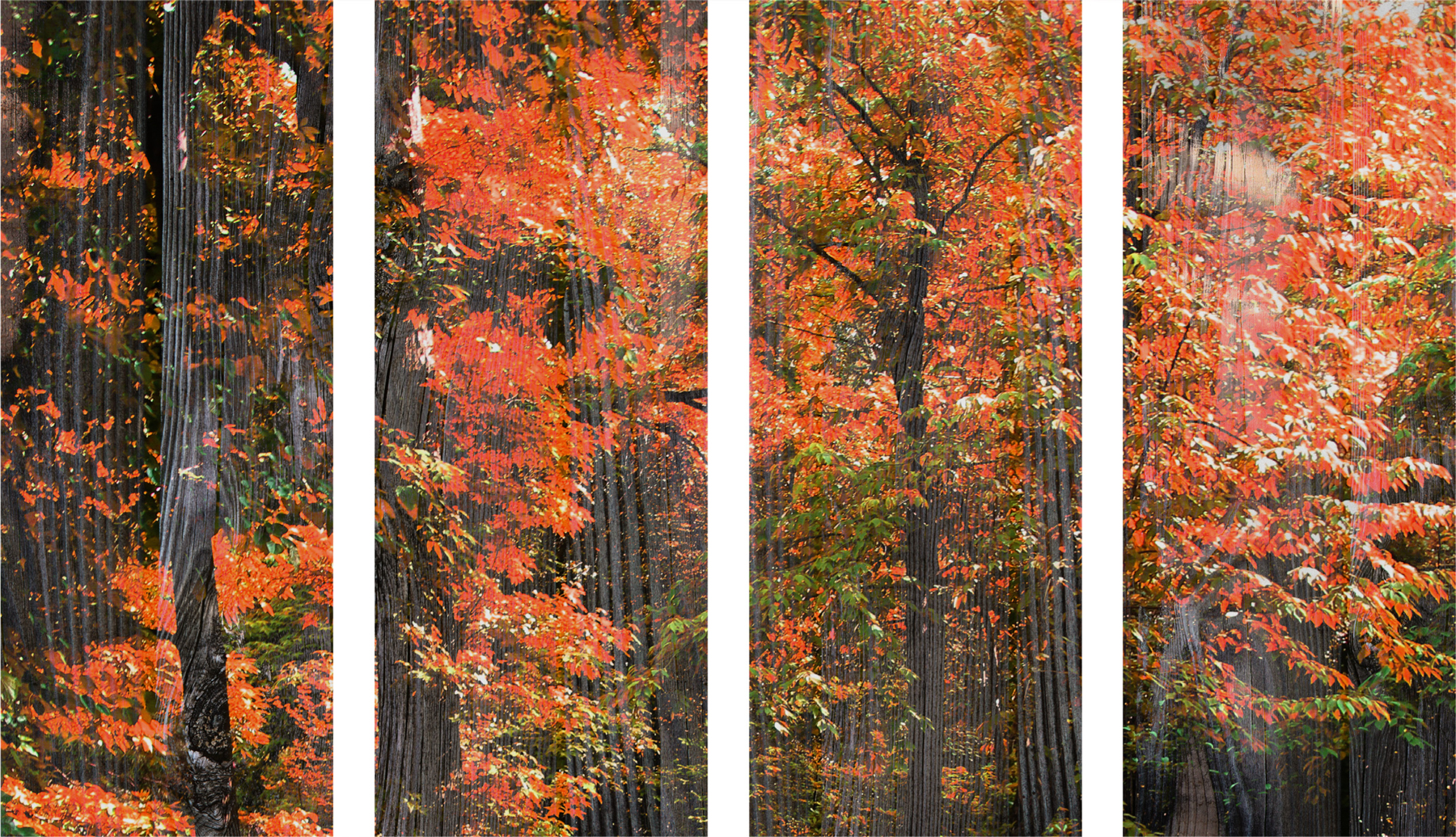 AL01488_4P