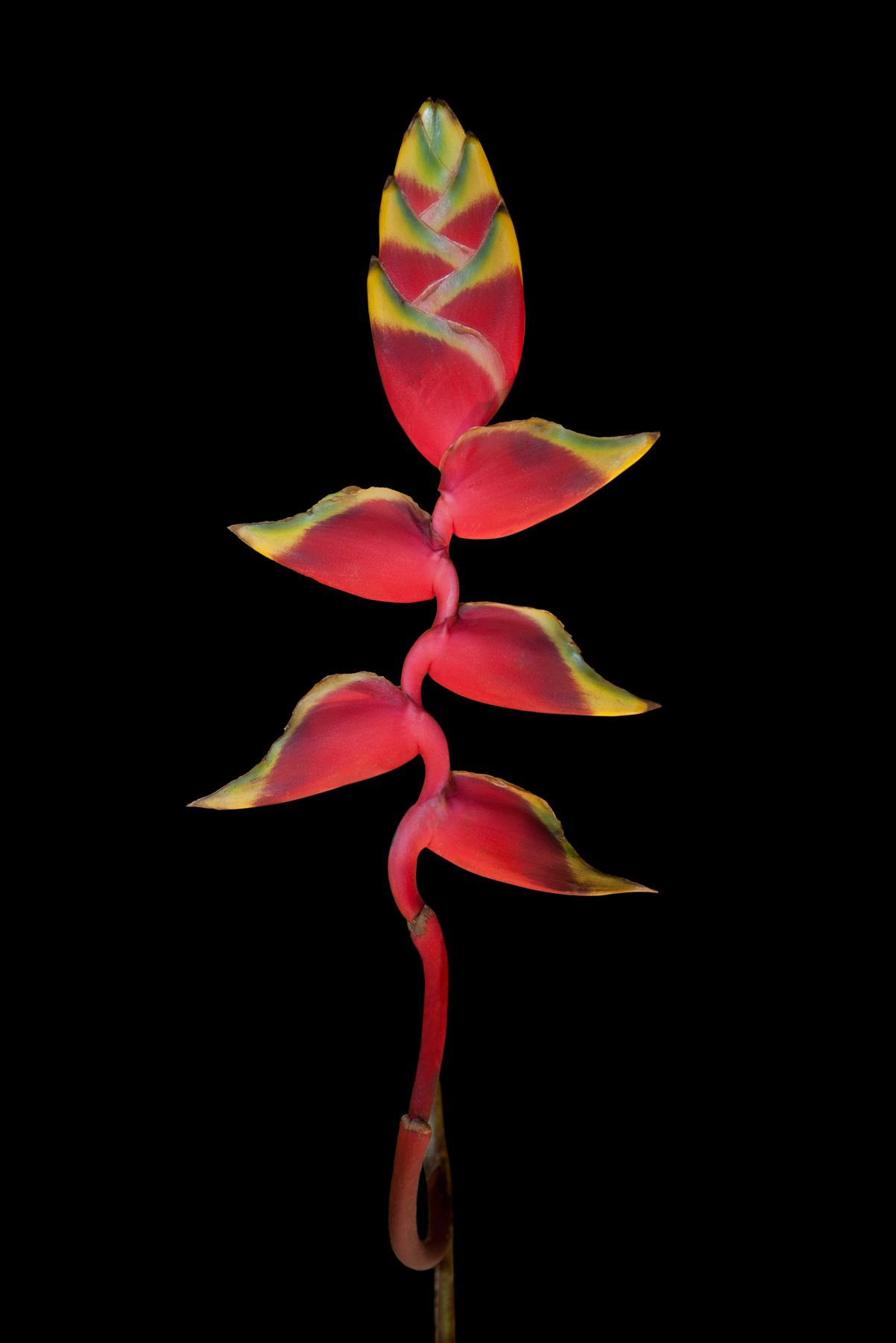 AL03722_FLIP