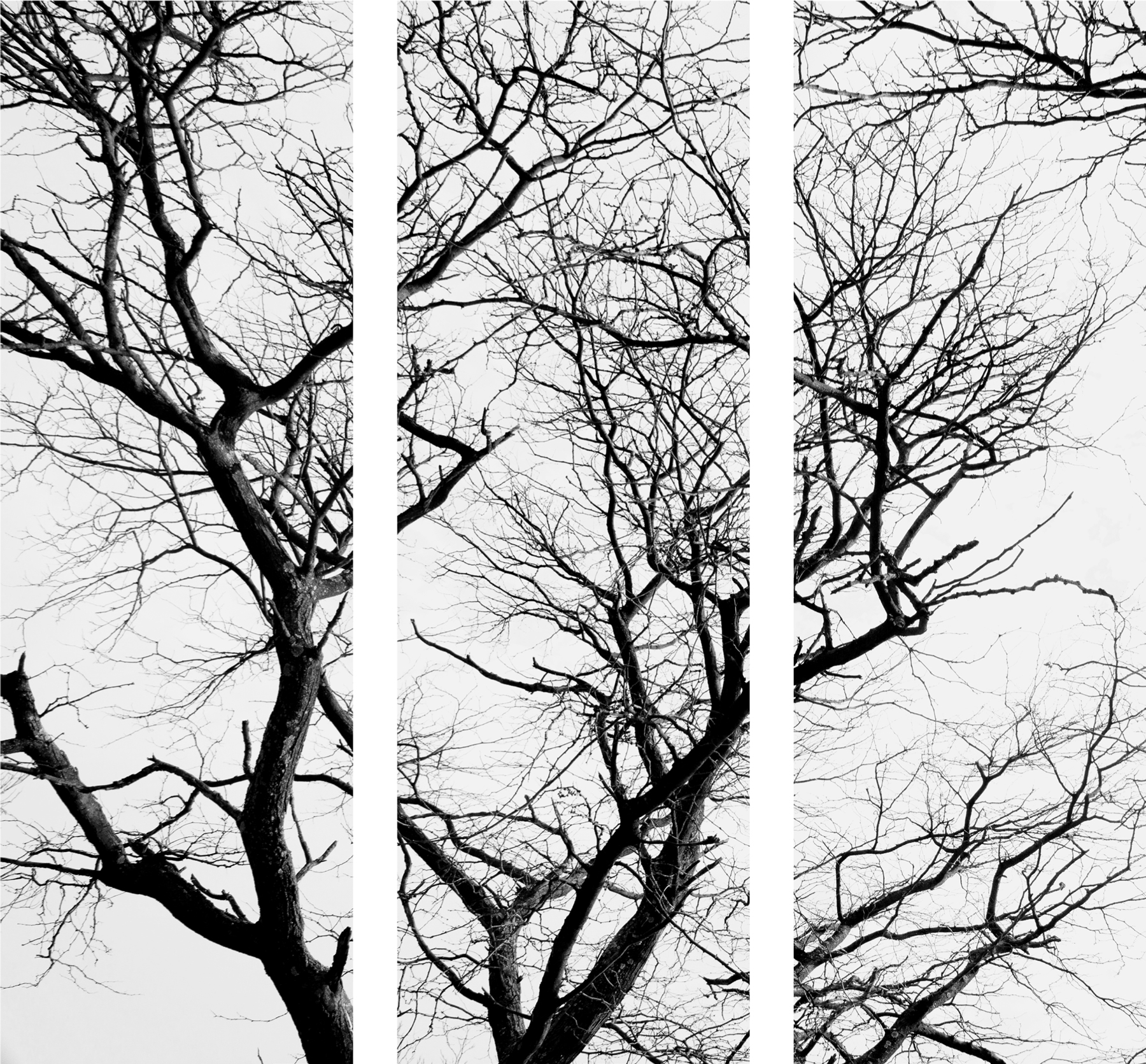 AL04497_3P