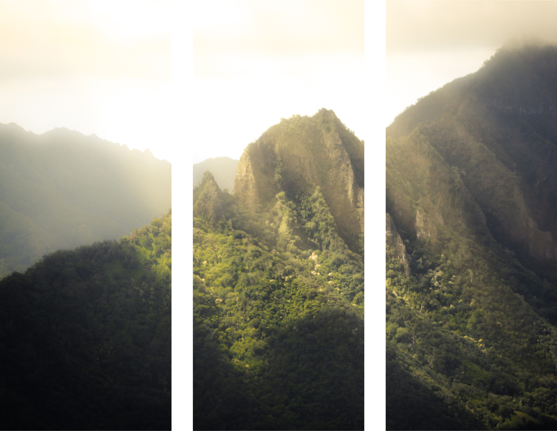 AL04627_3P